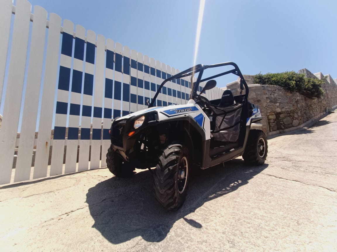 Polaris BUGGY RZR 700cc
